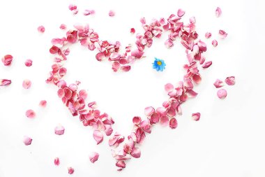 kalp gül yaprakları / pembe güller, kalp şeklinde çerçeve yaprakları, aşk konsepti