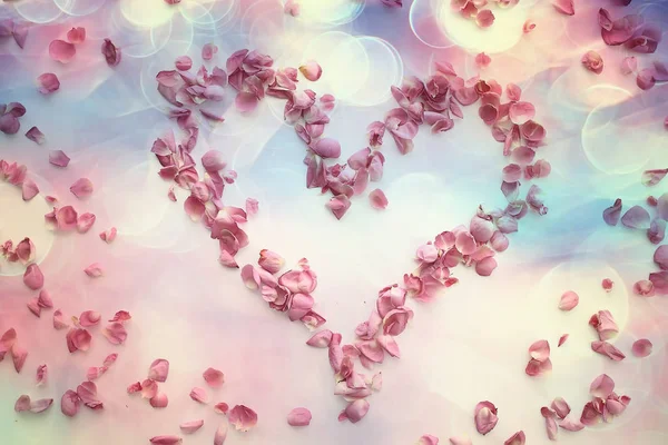 Srdce Růžové Plátky Růžové Růže Srdeční Okvětné Rámy Milostný Koncept — Stock fotografie