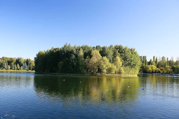 Zomerpark Achtergrond Natuur Bomen Groene Bladeren Abstracte Achtergrond Zomer Uitzicht — Stockfoto