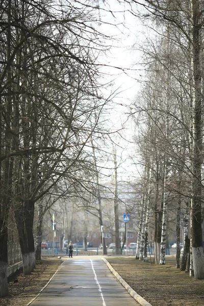 Early Spring Forest Trees Leaves Snow Melts Gray Sad Forest — Stock Photo, Image