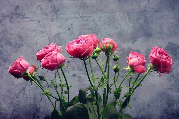Strauß Rosa Rosen Hintergrund Urlaubskonzept Schöne Rosa Blumen Hintergrund — Stockfoto