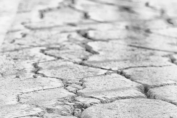 crack on the ground white background / abstract white vintage background broken texture