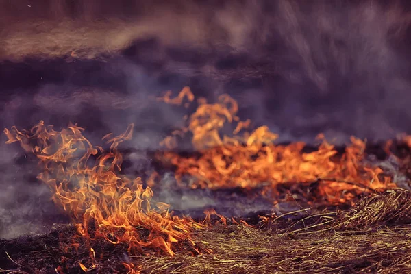 火在田间 火在干草 燃烧稻草 自然景观 — 图库照片