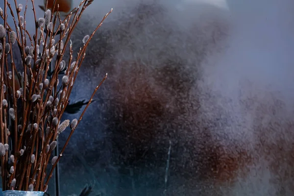 Weiden Zweige Blühen Frühlingskonzept Osterferien Hintergrund — Stockfoto