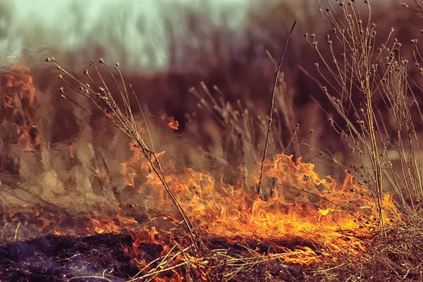 Пожар Поле Пожар Сухой Траве Горящая Солома Элемент Природный Ландшафт — стоковое фото