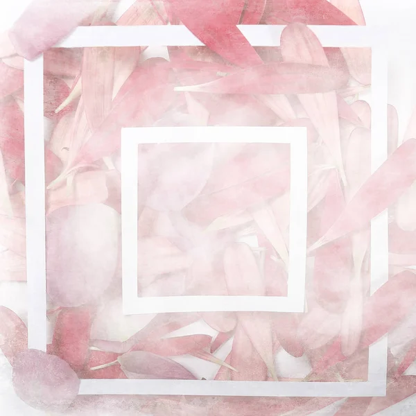 背景折叠花宏 抽象香气背景温柔的夏日玫瑰 — 图库照片