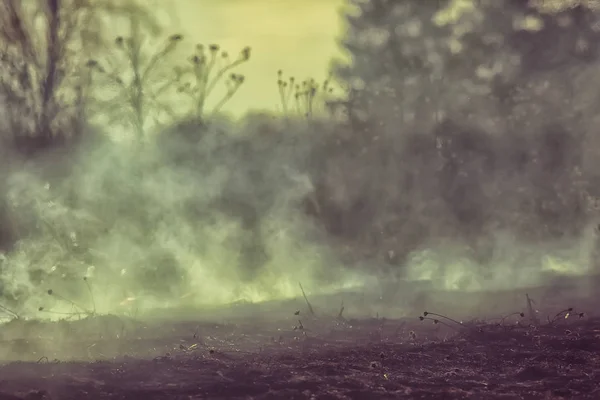 Fuego Campo Fuego Hierba Seca Paja Ardiente Elemento Paisaje Natural — Foto de Stock