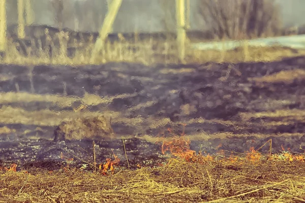 Brand Fältet Brand Torrt Gräs Brinnande Halm Element Naturlandskap Vind — Stockfoto