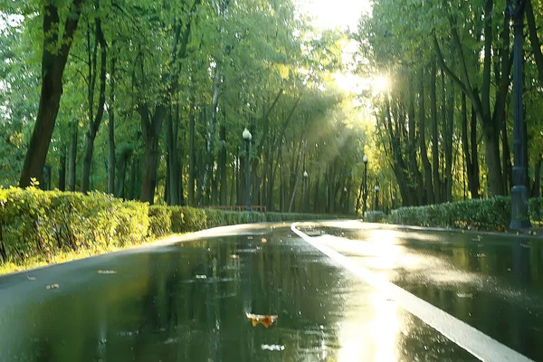 夏季公园背景 自然树绿叶 抽象背景夏景 — 图库照片