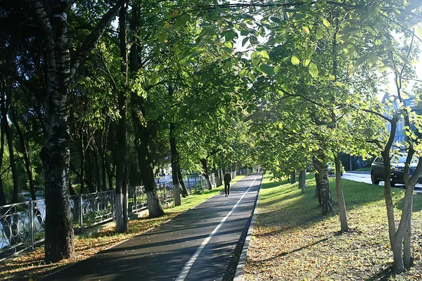 Nyári Park Háttér Természet Fák Zöld Levelek Absztrakt Háttér Nyári — Stock Fotó