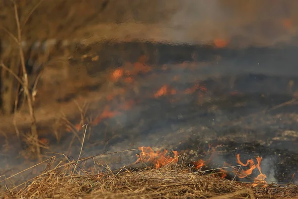 Pożar Polu Pożar Suchej Trawie Spalanie Słomy Element Krajobraz Przyrody — Zdjęcie stockowe