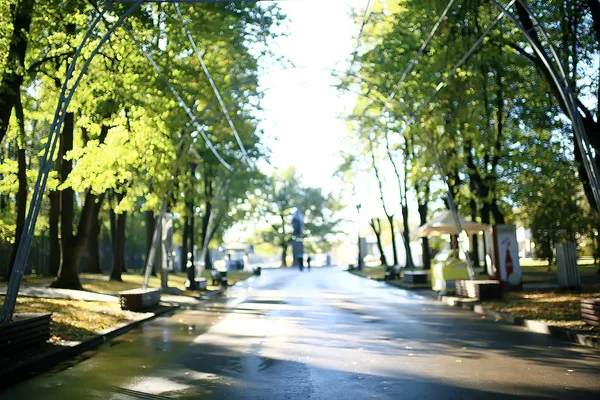 夏の公園の背景 自然の木緑の葉 抽象的な背景夏の景色 — ストック写真