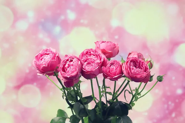 Buquê Rosas Rosa Fundo Conceito Férias Belas Flores Rosa Fundo — Fotografia de Stock