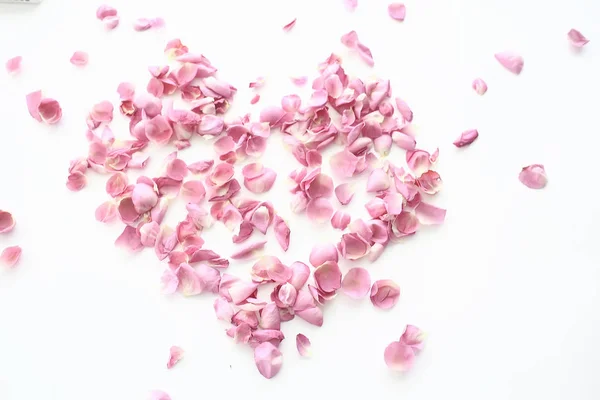 心玫瑰花瓣 粉红玫瑰 心形框架花瓣 爱情概念 — 图库照片
