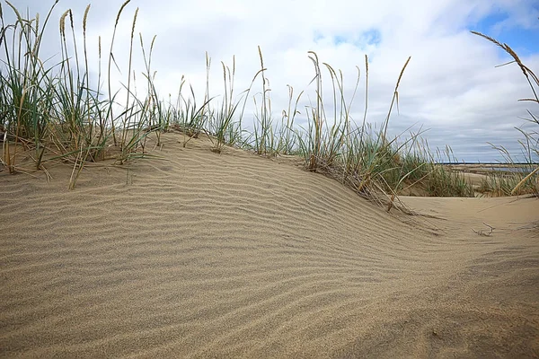 Désert Paysage Désert Sable Pas Peuple Paysage Dunes — Photo