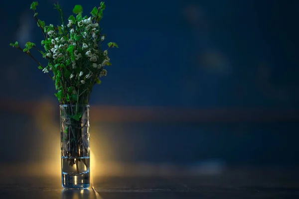 Frühlingsstrauß Zweige Knospen Blätter Kleine Frische Zweige Einem Strauß Mit — Stockfoto