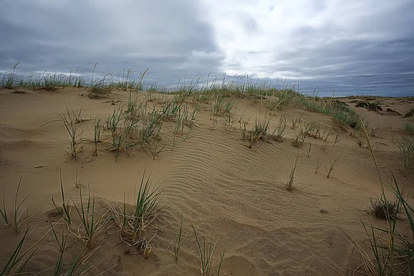 Woestijn Landschap Zand Woestijn Geen Mensen Duinlandschap — Stockfoto