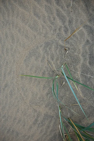 Wüstenlandschaft Sandwüste Keine Menschen Dünenlandschaft — Stockfoto