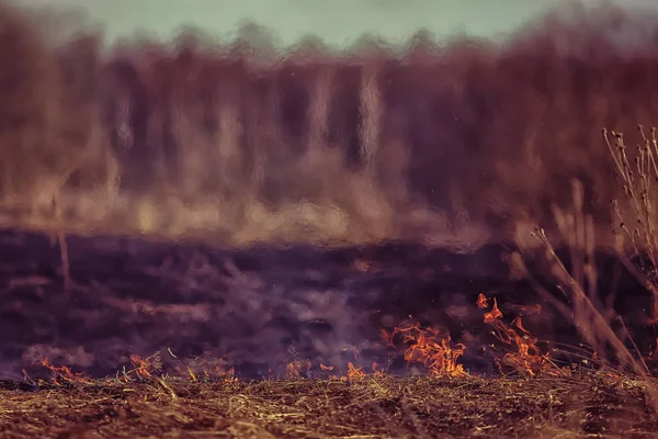 Пожар Поле Пожар Сухой Траве Горящая Солома Элемент Природный Ландшафт — стоковое фото