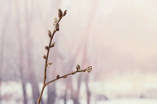 부활절 — 스톡 사진