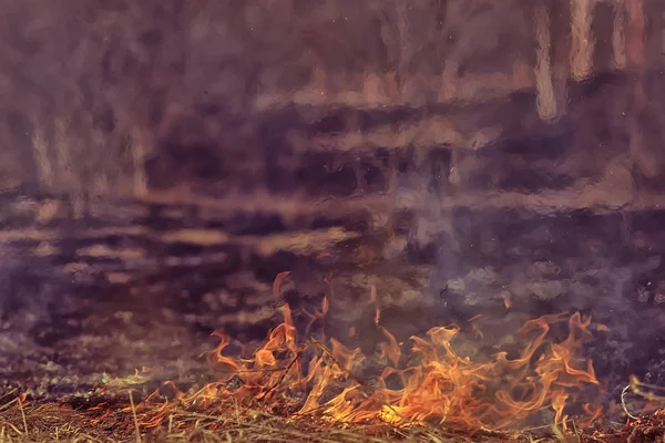 fire in the field / fire in the dry grass, burning straw, element, nature landscape, wind