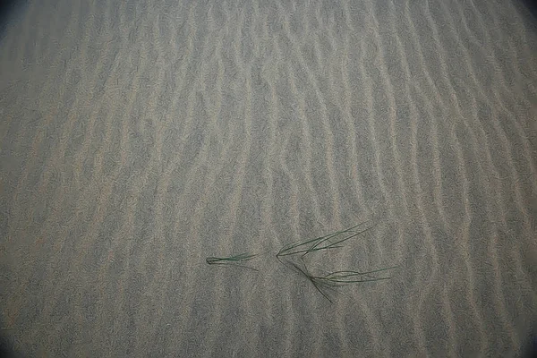 Fond Sable Désert Abstrait Fond Vide Texture Désert Sable Vagues — Photo