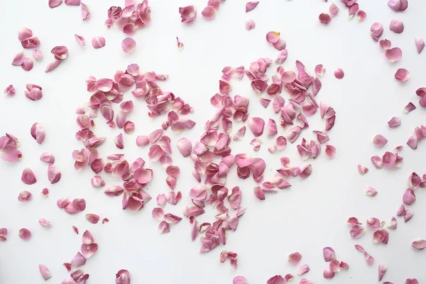 Heart Rose Petals Pink Roses Heart Shaped Frame Petals Love — Stock Photo, Image