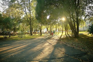 yaz parkı arka plan / doğa ağaçları yeşil yaprakları, soyut arka plan yaz görünümü