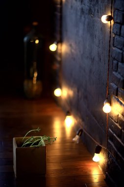 Çaydanlıktaki genç filizler / taze yeşiller, biyoloji, botanik konsepti