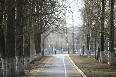 ormanda erken ilkbahar / yapraksız ağaçlar, kar erir, ilkbaharda gri üzgün orman parkı