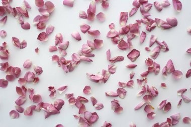 pembe ve kırmızı yaprakları arka plan / soyut aroma arka plan, spa pembe yaprakları