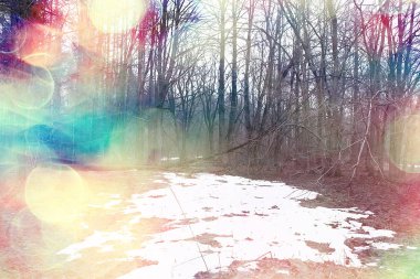 ormanda erken ilkbahar / yapraksız ağaçlar, kar erir, ilkbaharda gri üzgün orman parkı