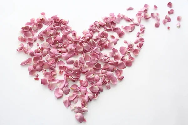 Heart Rose Petals Pink Roses Heart Shaped Frame Petals Love — Stock Photo, Image