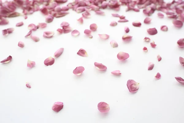 Pink Red Petals Background Abstract Aroma Background Spa Pink Petals — Stock Photo, Image