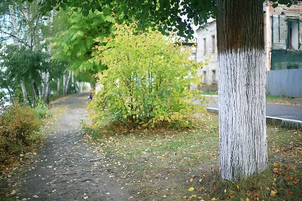 Фон Летнего Парка Зеленые Листья Деревьев Природы Абстрактный Фон Летний — стоковое фото