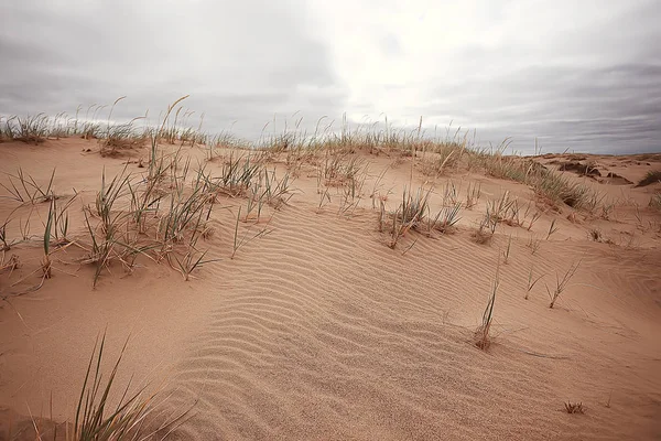 Woestijn Landschap Zand Woestijn Geen Mensen Duinlandschap — Stockfoto