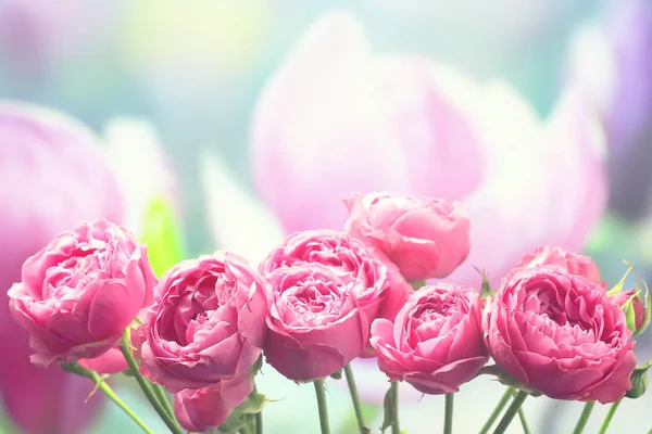 ピンクのバラの背景 休日のコンセプト 美しいピンクの花の背景の花束 — ストック写真