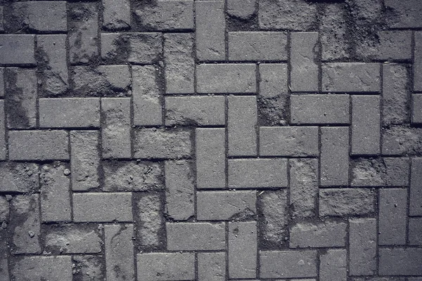 Фон Тротуарної Плитки Абстрактна Текстура — стокове фото