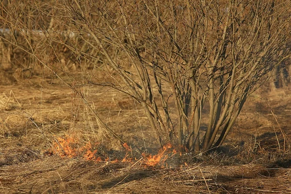 Brand Fältet Brand Torrt Gräs Brinnande Halm Element Naturlandskap Vind — Stockfoto