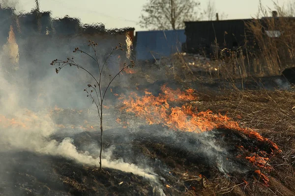 Brand Fältet Brand Torrt Gräs Brinnande Halm Element Naturlandskap Vind — Stockfoto