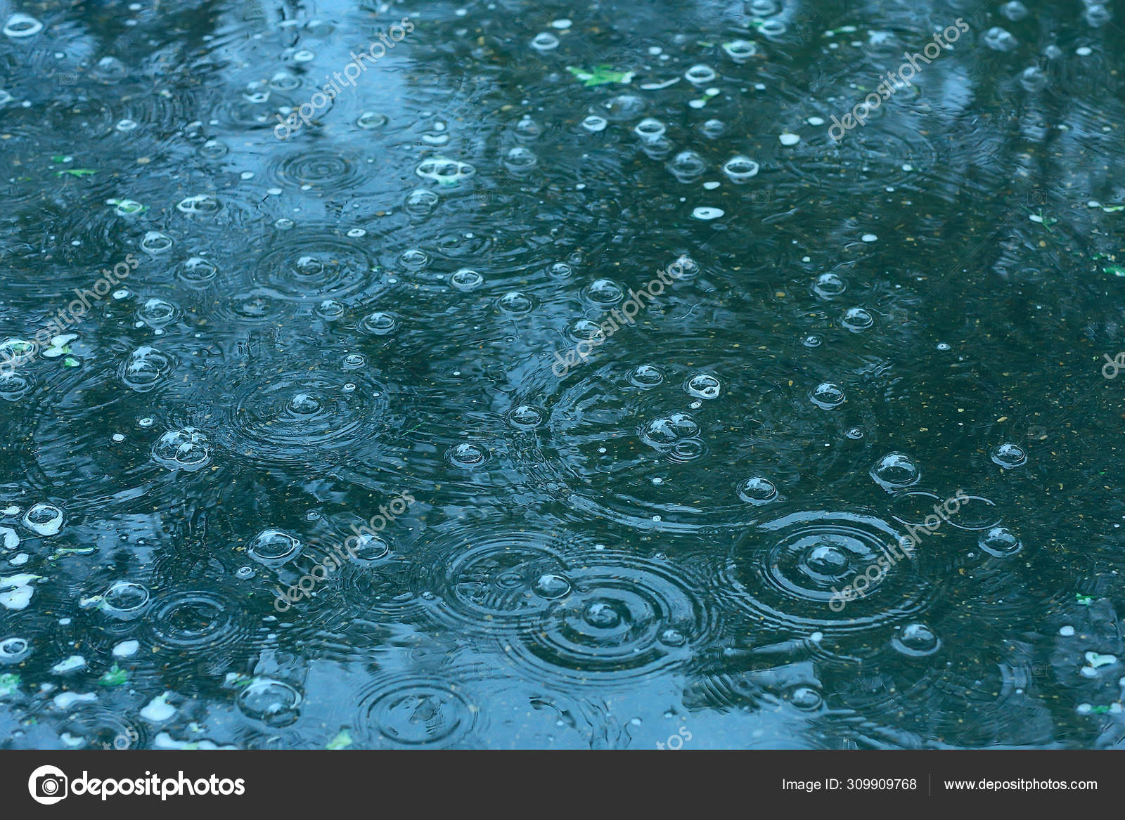 Blue Background Puddle Rain Raindrops Circles Puddle Bubbles Water