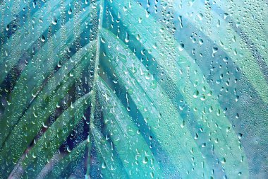 pencere bulanık arka plan dışında yağmurlu bir günde yaz yağmur ıslak cam / soyut arka plan manzara