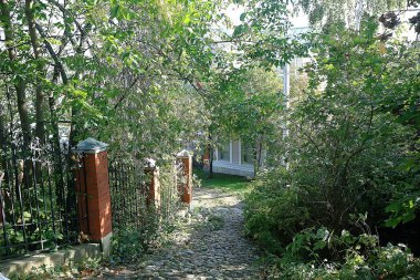 yaz parkı manzara / mevsimlik görünümü, yaz aylarında yeşil ağaçlar, konsept doğa yürüyüşü, ekoloji, eko