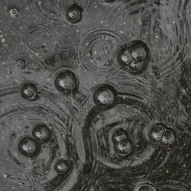 arka plan su birikintisi yağmur / daireler ve damla bir su birikintisi, suda kabarcıklar ile doku, sonbahar yağmur