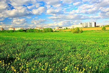 banliyölerinde sarı çiçekler ile karahindiba alan şehir / soyut yaz peyzaj alanı