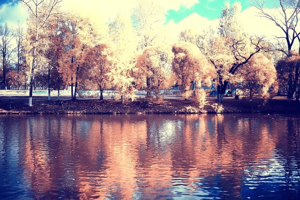 秋の公園の太陽の風景 黄色い公園の季節の秋の風景 10月の日没時の太陽の光 — ストック写真