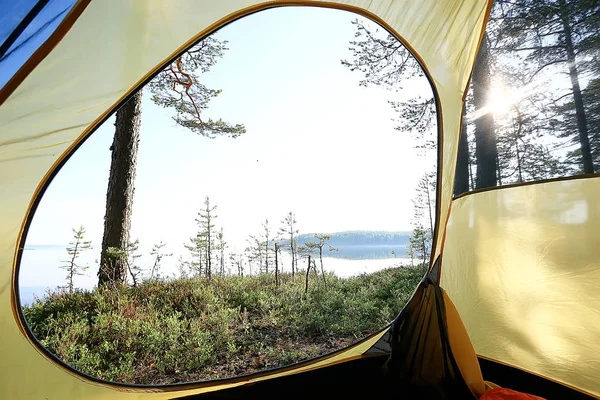 Krajina Letním Lese Zelených Stromech Letní Výhled Pěší Turistika Lese — Stock fotografie