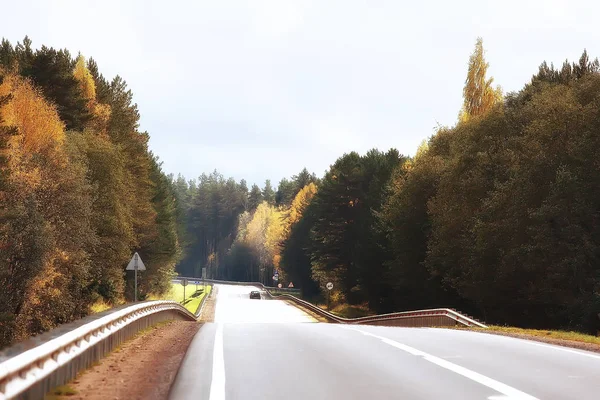 Sombre Route Automne Vue Saisonnière Autoroute Paysage Routier Automne Concept — Photo