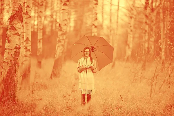 Дівчина Парасолька Ліс Пейзаж Осінь Вид Молода Жінка Парасолькою Міському — стокове фото