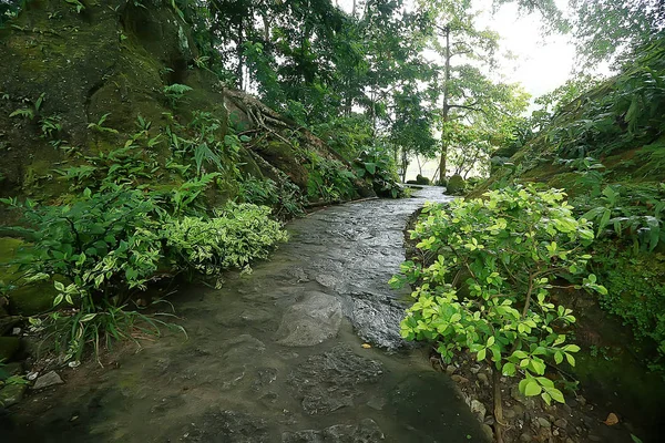 Paisagem Parque Verão Vista Sazonal Árvores Verdes Verão Conceito Natureza — Fotografia de Stock